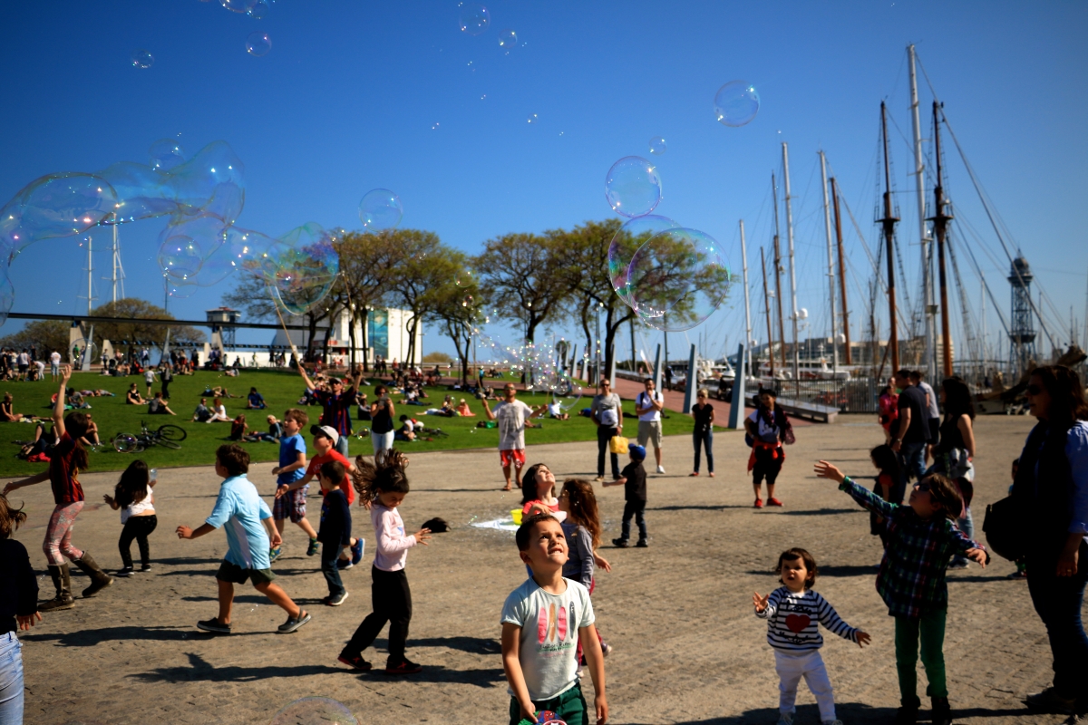 Crowded Harbor 